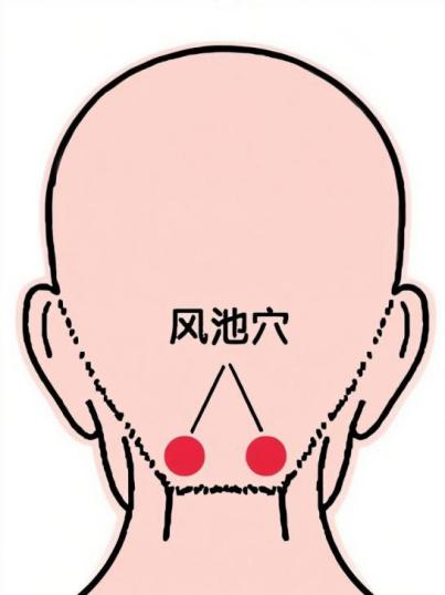 4767.png