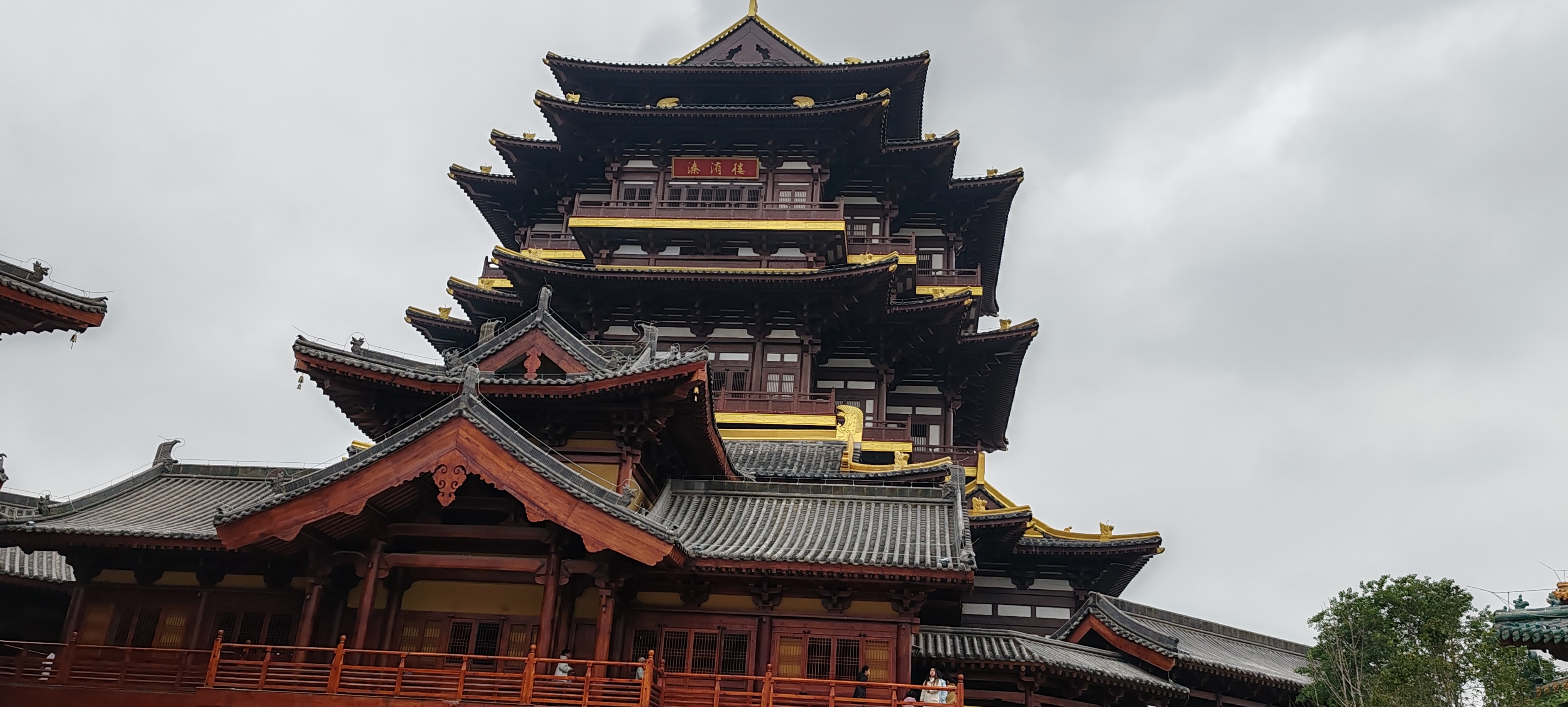 回来了JJ兔兔图