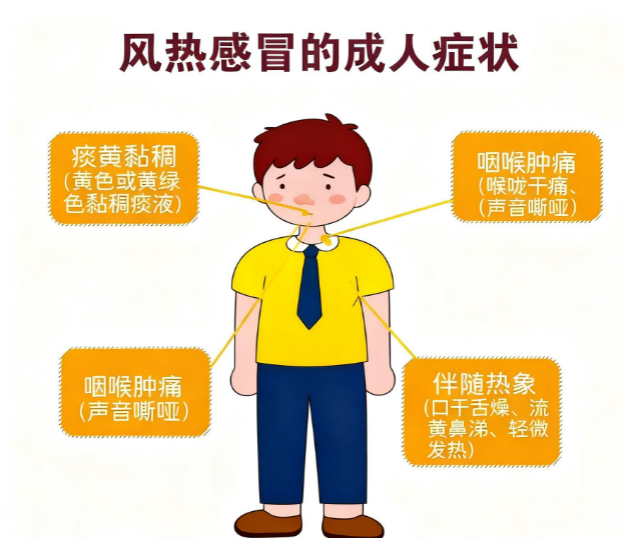 风热咳嗽久不愈?肺俞热贴——清肺热、止咳嗽,一贴轻松!