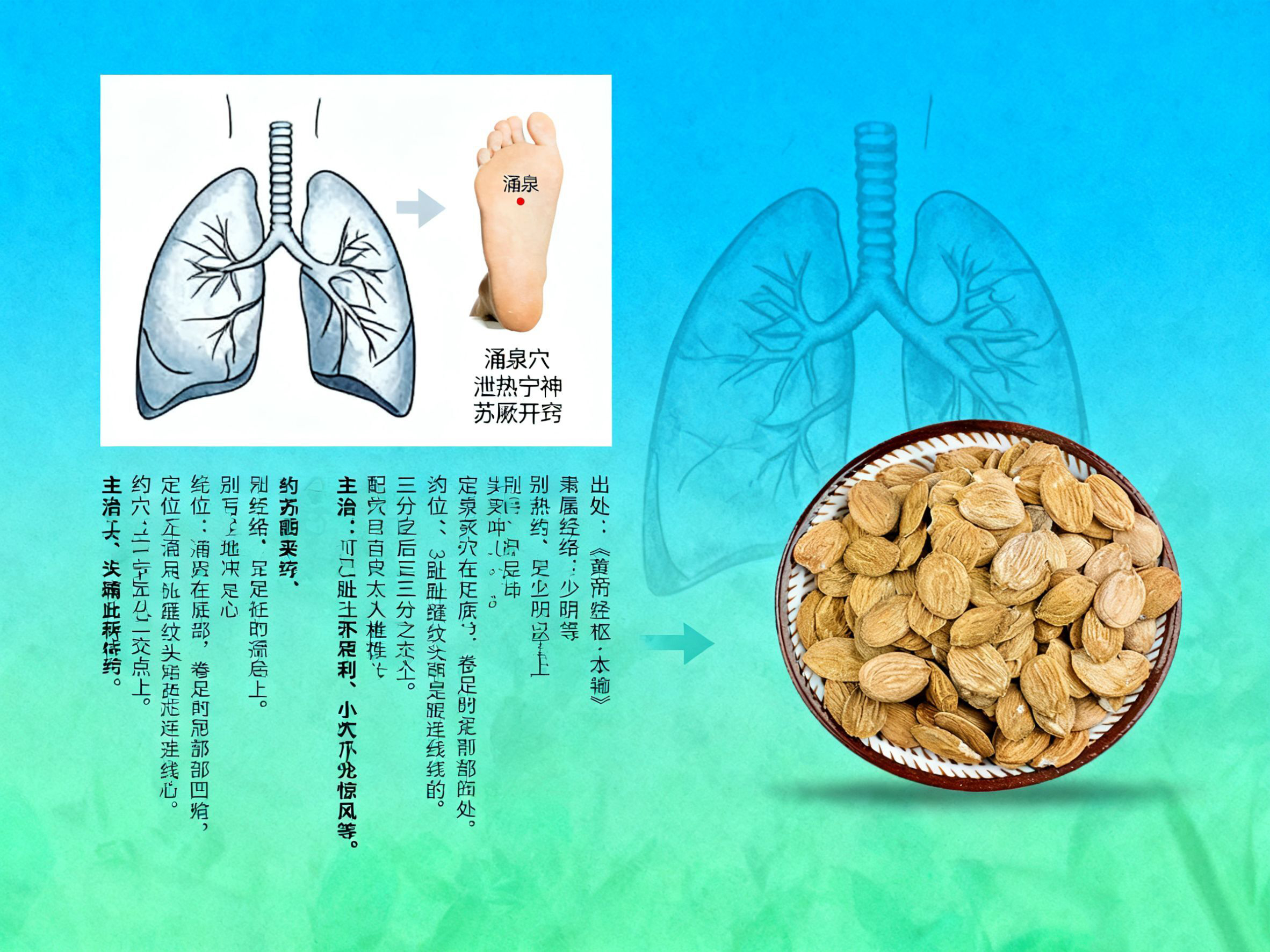 咳喘反复难消？肺部涌泉穴贴——深透调理，畅呼吸