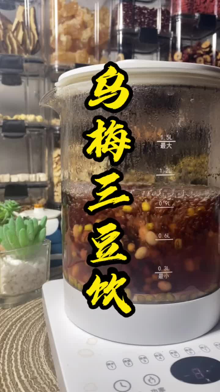 家里有孩子的，妈妈一定要学会这个大名鼎鼎的三豆饮，食材简单却有妙用，简单改良又不一样 三豆饮