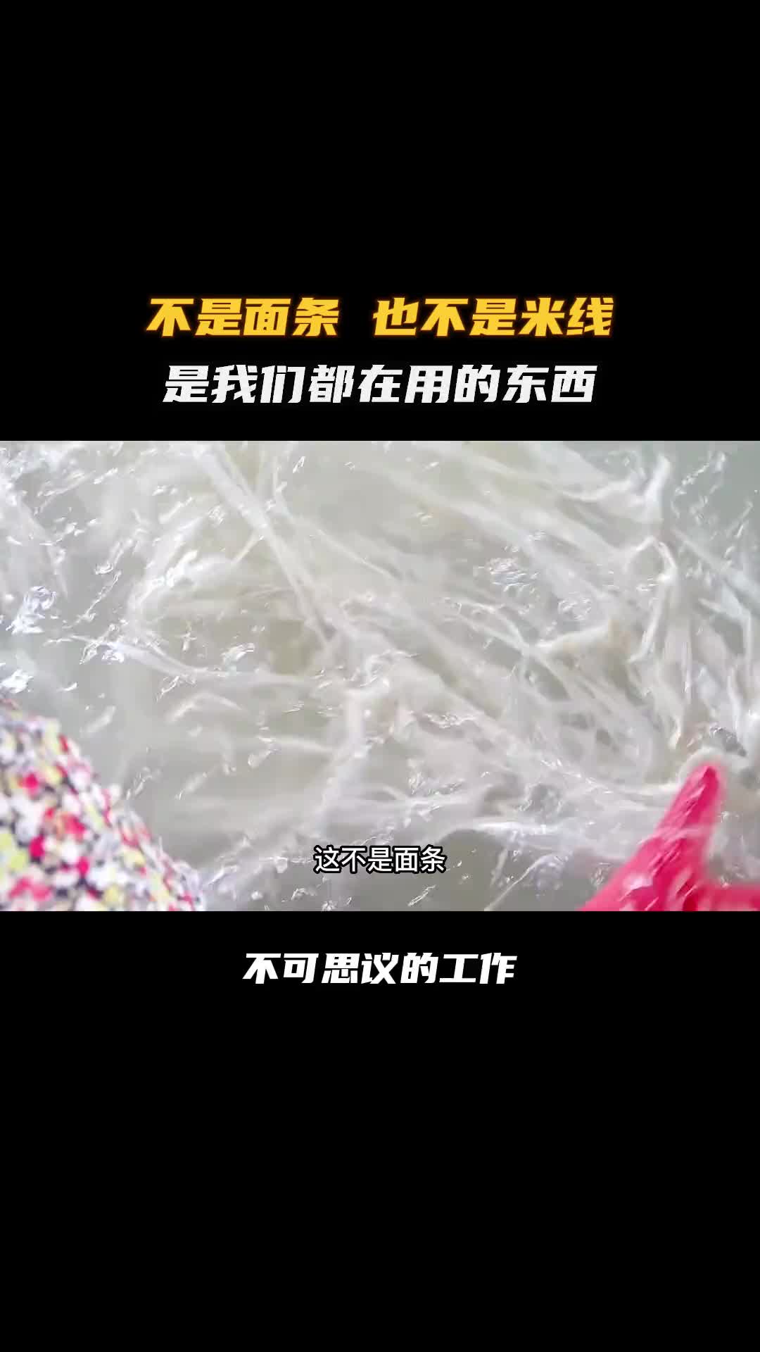 树皮是如何变成一张白纸的！夏日科普星探企划 涨知识