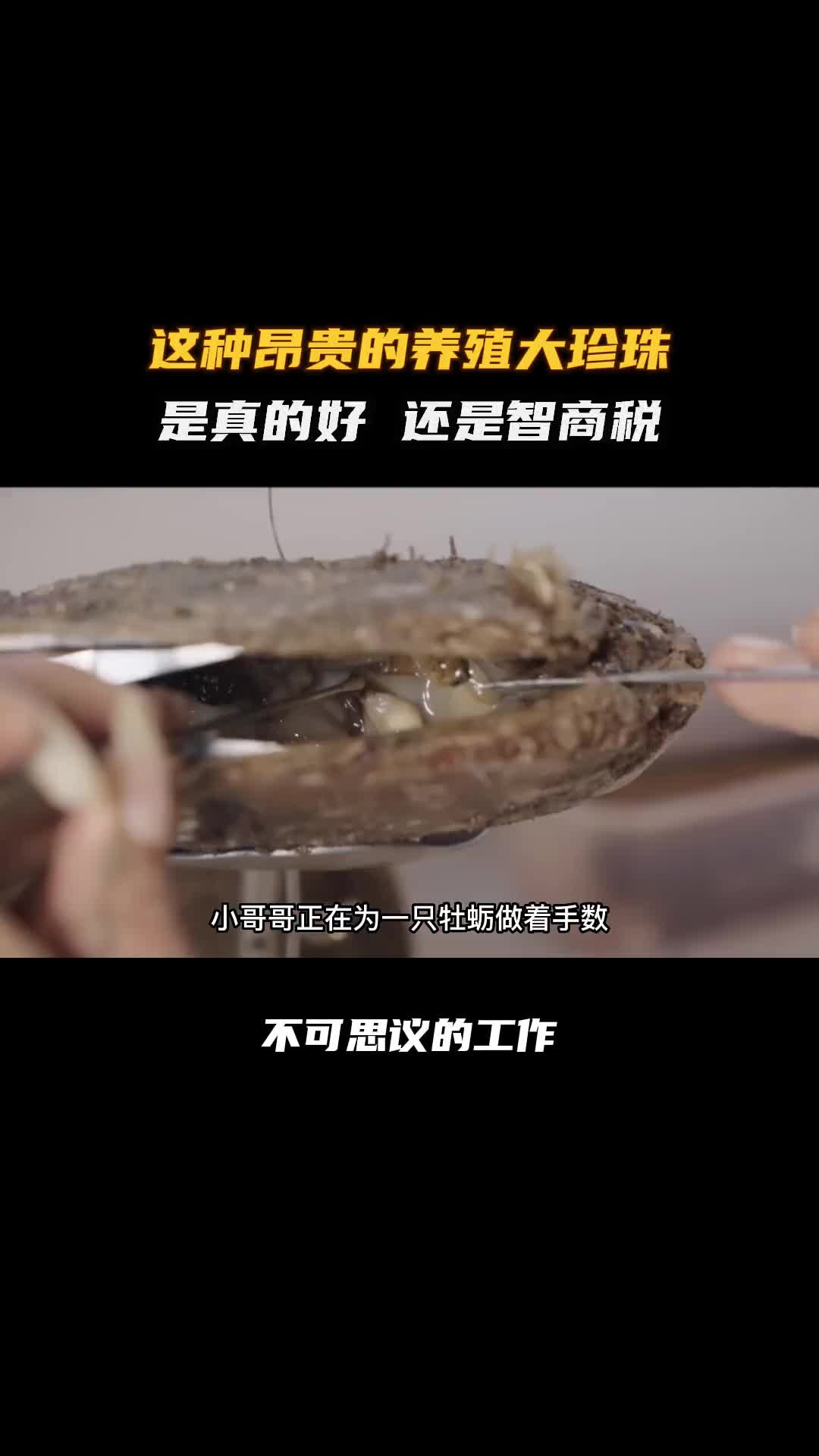 南海珍珠为何这么贵，是真的好，还是智商税呢！夏日科普星探企划 涨知识