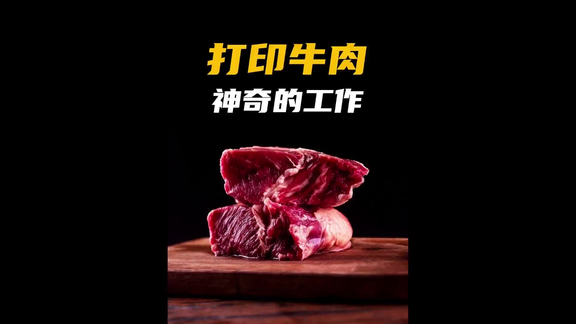 3D打印机打印出来的牛肉你想尝尝吗！科普 涨知识