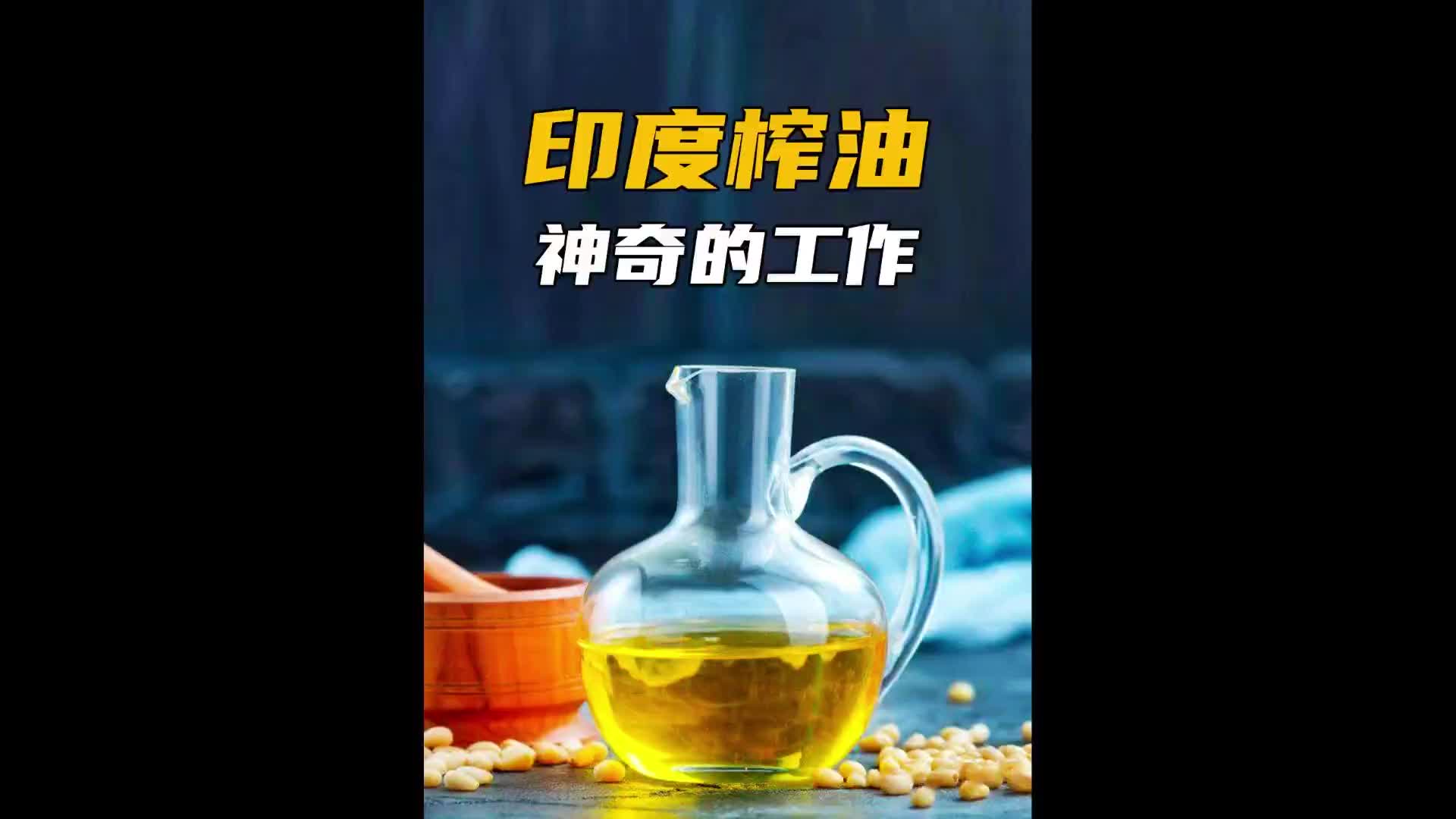 印度古老的榨油方式真是大开眼界！传统手艺 纪录片充电计划 匠心制作 古法榨油