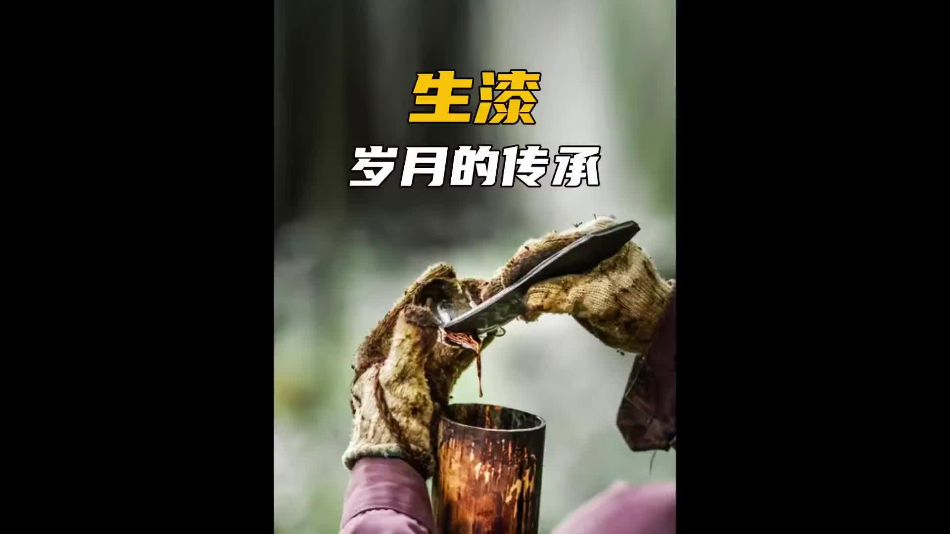 因为太耐用，即将濒临失传了！非遗 匠心制作 纪录片充电计划 生漆