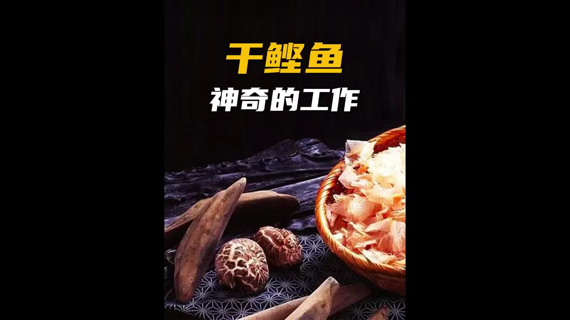 用世界上最坚硬的食物“鲣节”做一把“宝刀”！涨知识 纪录片充电计划 鲣鱼 鲣节