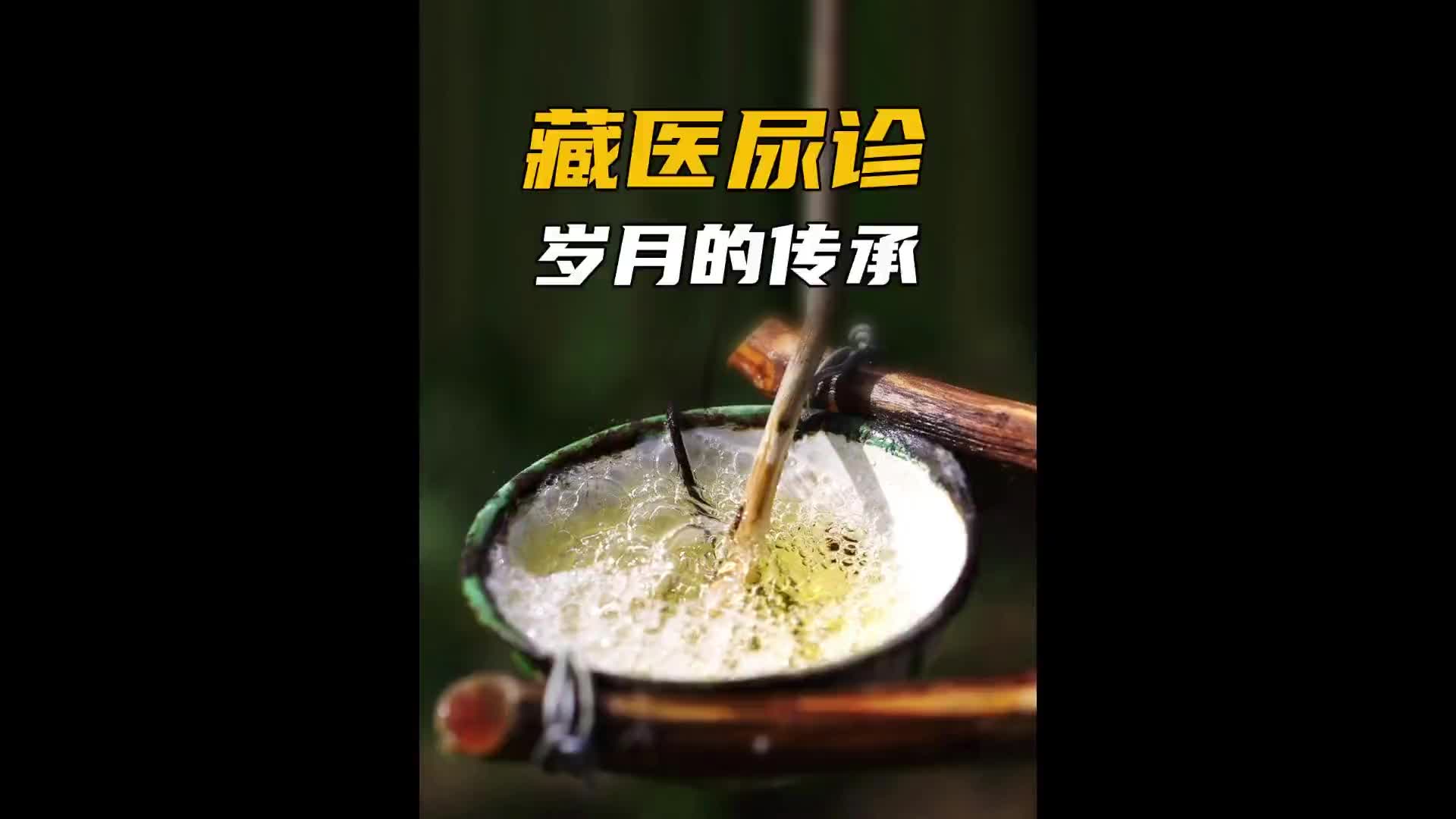 看看尿液就能判断病情，真的开眼了！传统手艺 不一样的生活 纪录片充电计划 藏医