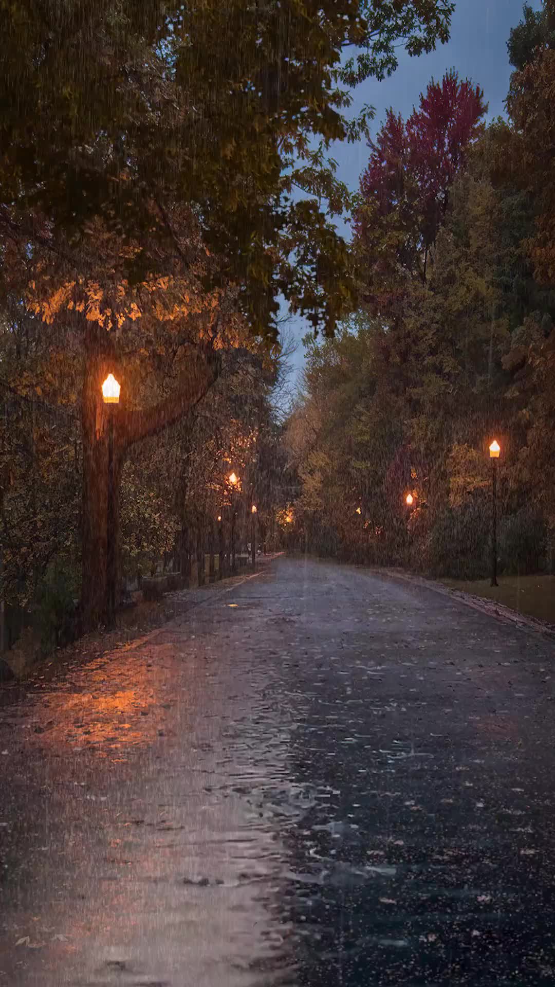  秋是慢入的，但冷却是突然的，晴不知夏去，一雨方知深秋