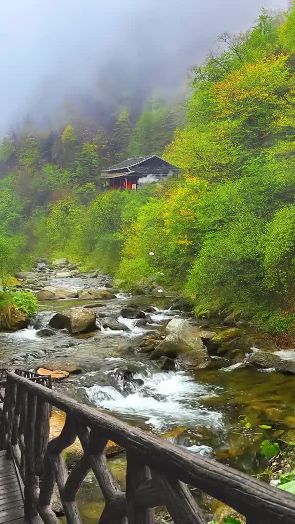 山外的纷纷扰扰都与我无关，我只把脚步停留在这里 