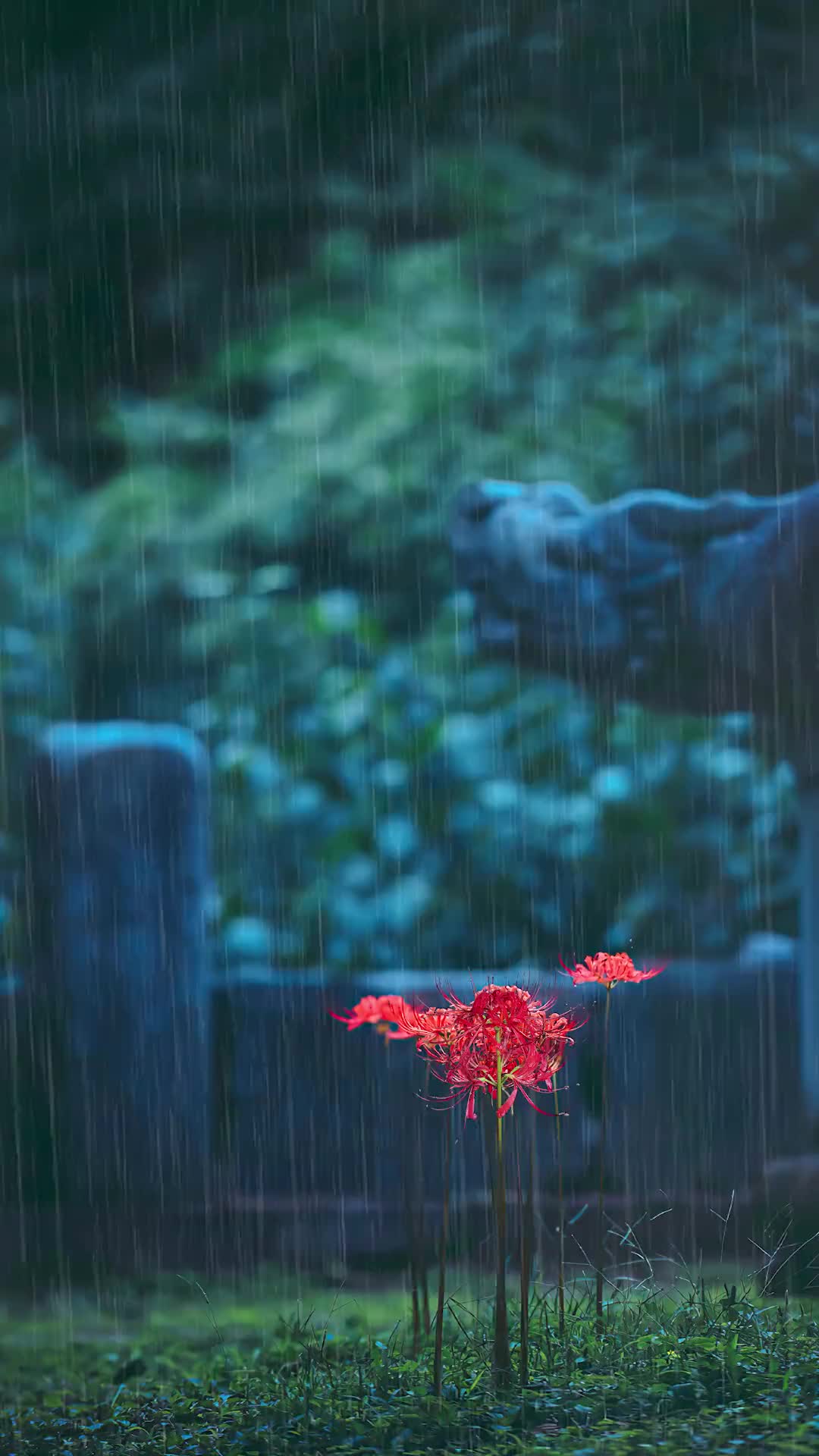 生此岸，长彼岸，守望一世手难牵。纵然花叶两不见，入骨相思在忘川。