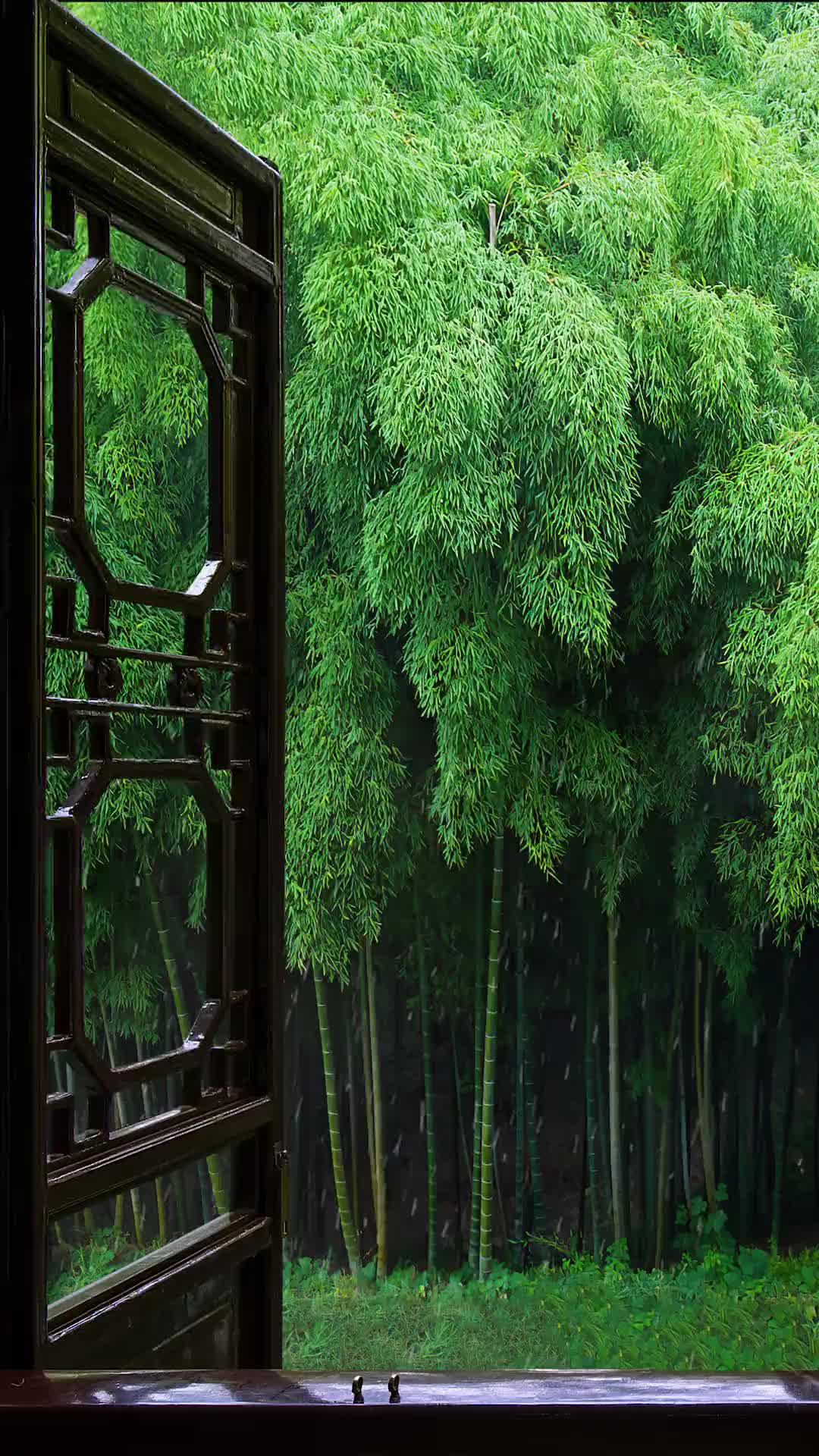 竹海惹了细雨，浓墨惹了相思。竹林听雨，品一种静，享一时闲暇，得一片悠然清绝..