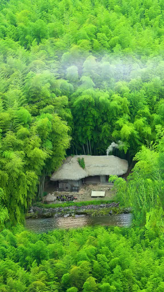 竹林寂寂飞鸟鸣，溪水潺潺沁人心， 醉饮清风闲揽月，轻煮岁月慢煮茶。 