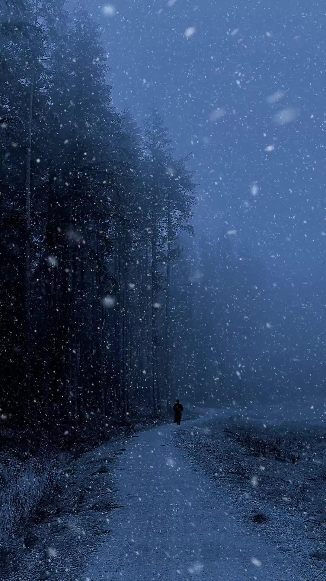 美丽的原风景