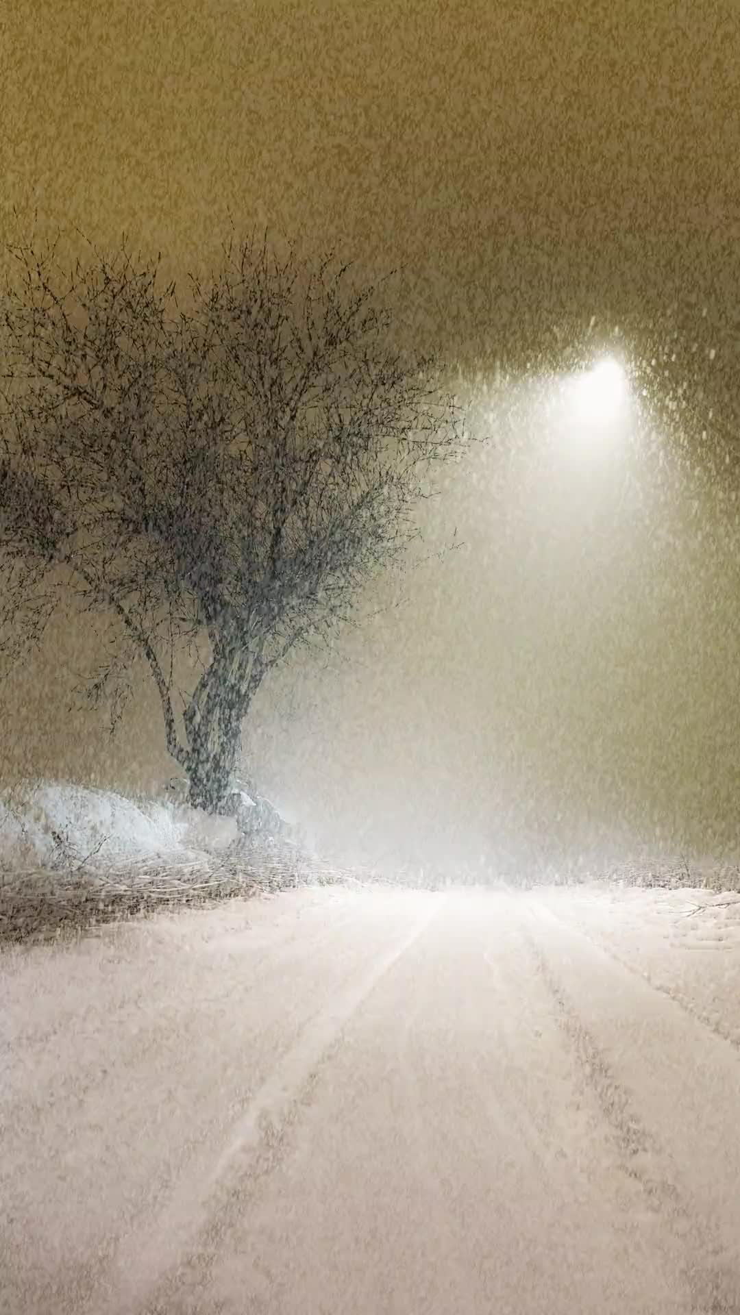 今年冬天可以相约一起看雪吗