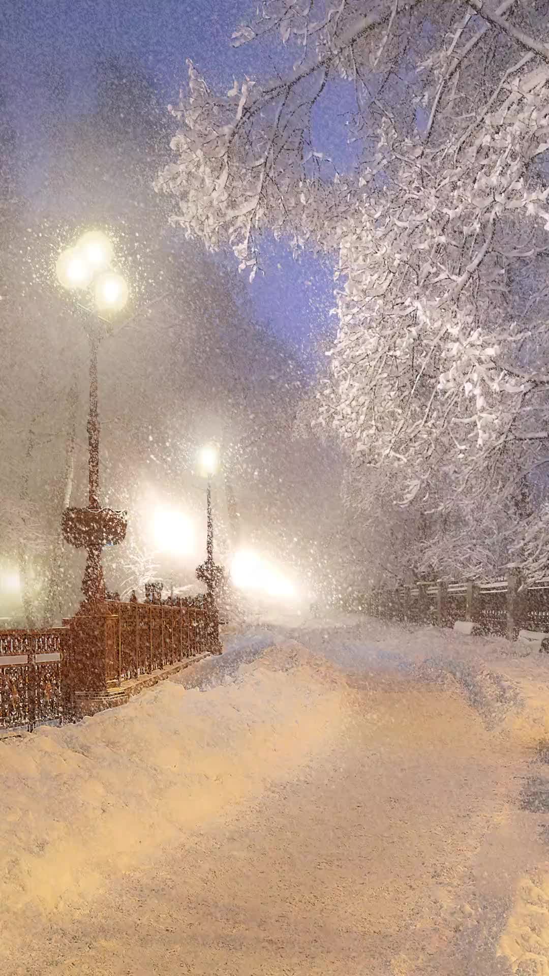 想和你一起看雪