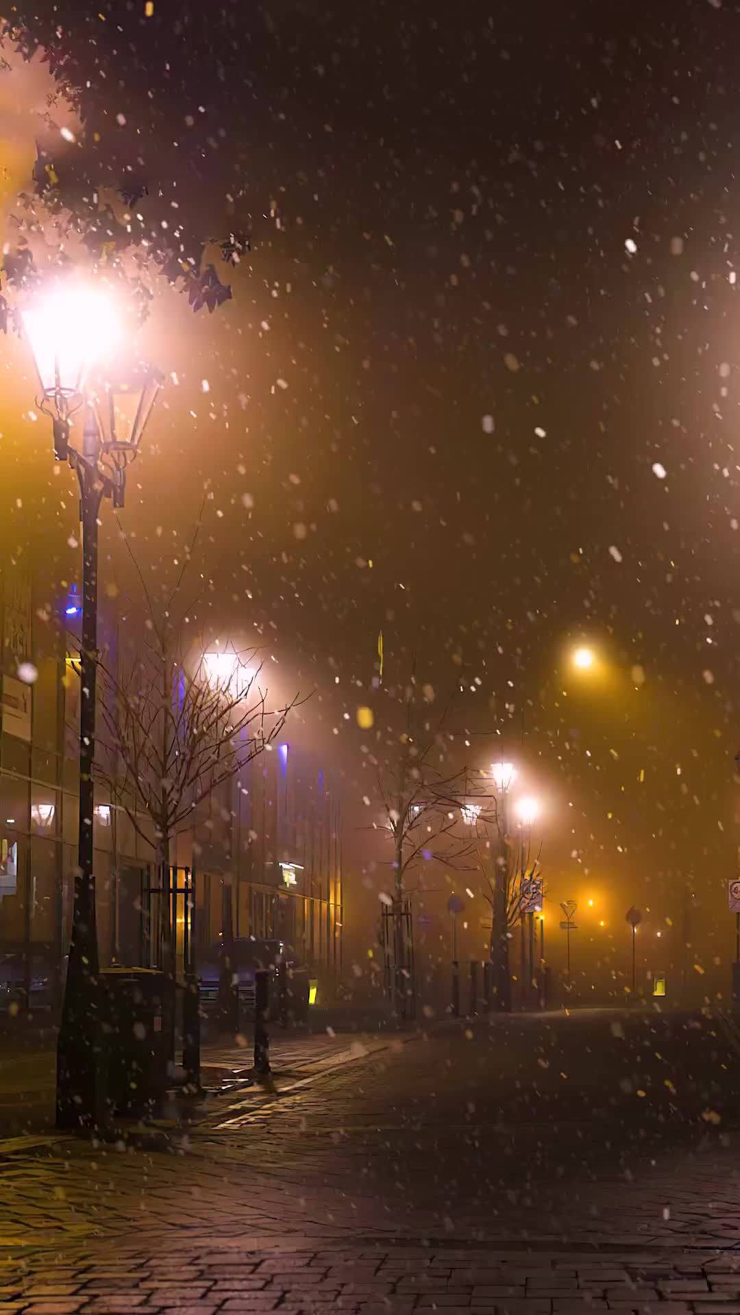 路灯下的雪景