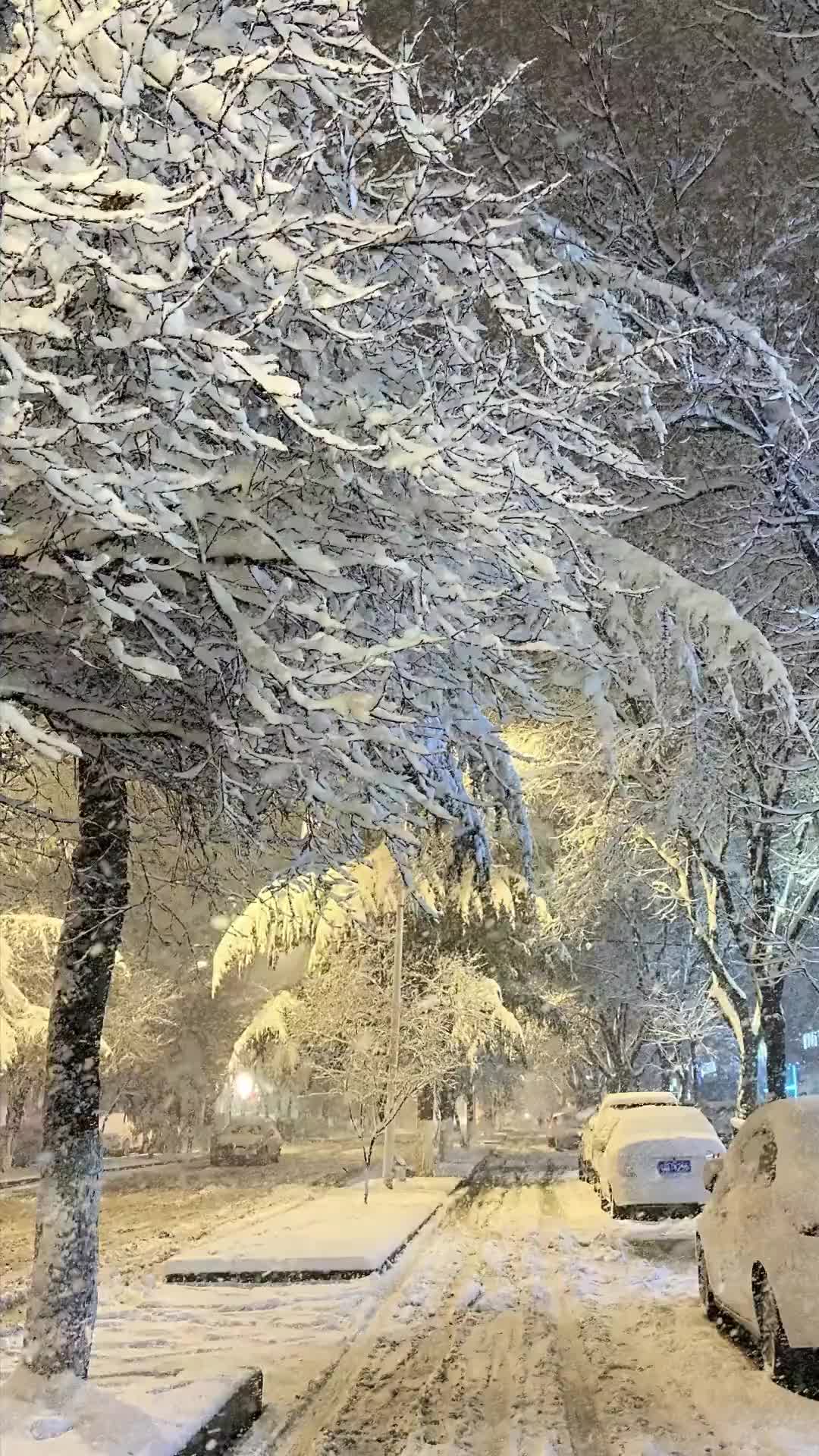 冬雪的美景