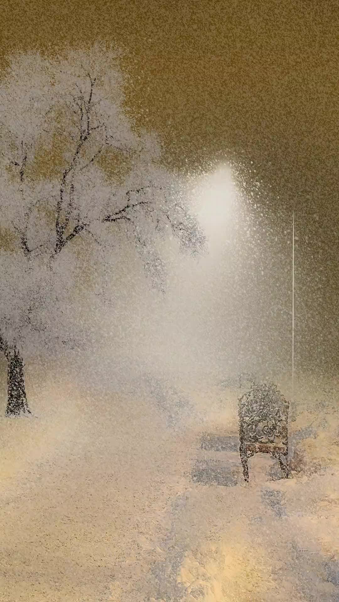 雪景