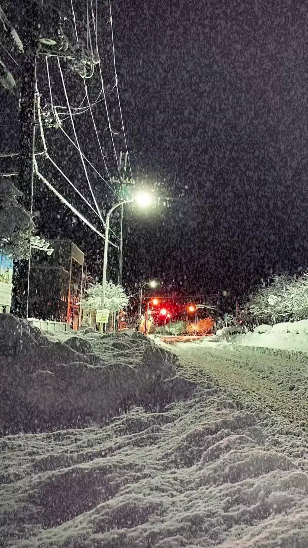 治愈系风景