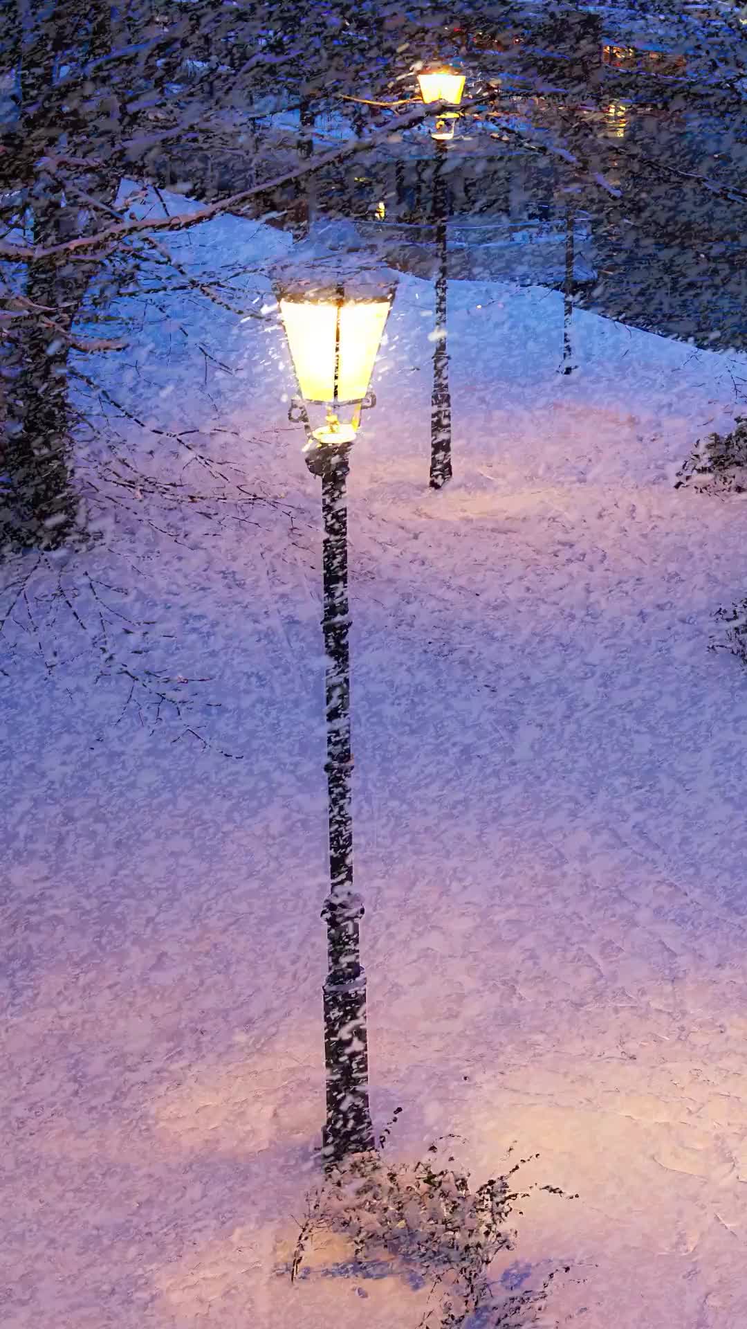 “雪很奇怪，像思念，像重逢，像爱而不得，好像在等着你，又好像在放弃你。” 