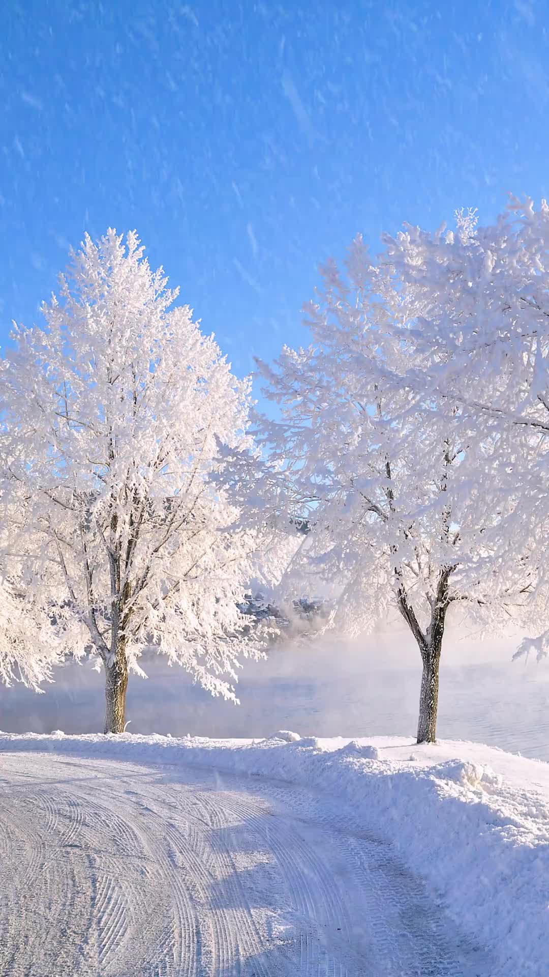 春赏百花冬观雪，醒亦念卿，梦亦念卿。