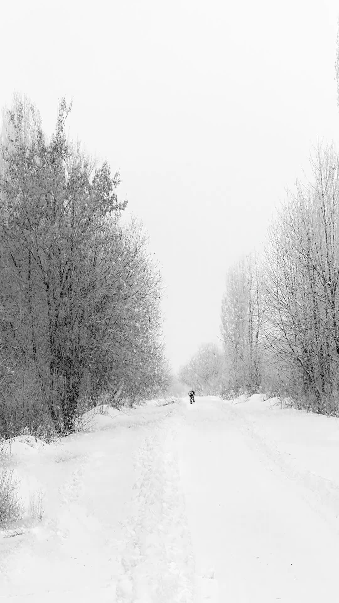 漫天飞舞的大雪