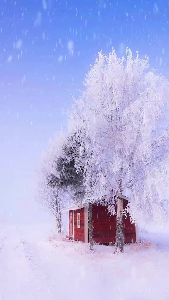 你们只知道的那句：今朝若是同淋雪，此生也算共白头；