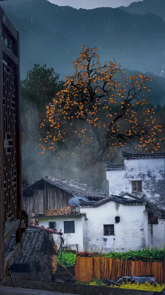 看雨是一种孤独，听雨是一种解压，淋雨是一种宣泄....#下雨天 #乡