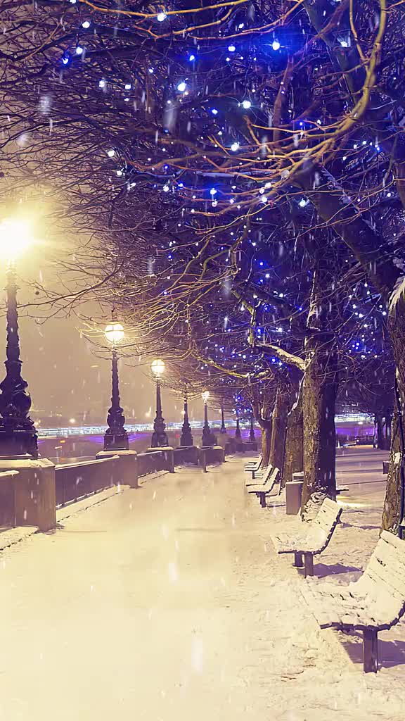 念一场雪，纯洁晶莹，念一段过往，沉淀安然，所有的不如意，都是装点