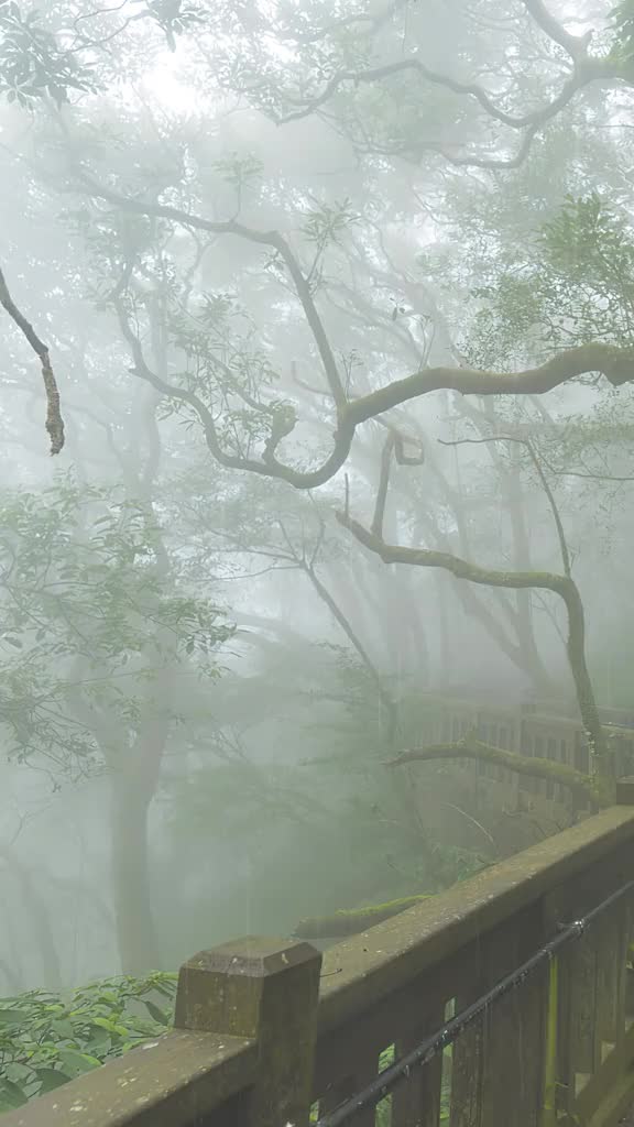 晴不知夏去，一雨方知深秋；时间从来不语，却回答了所有问题；岁月从来不言，却鉴证了人心。 