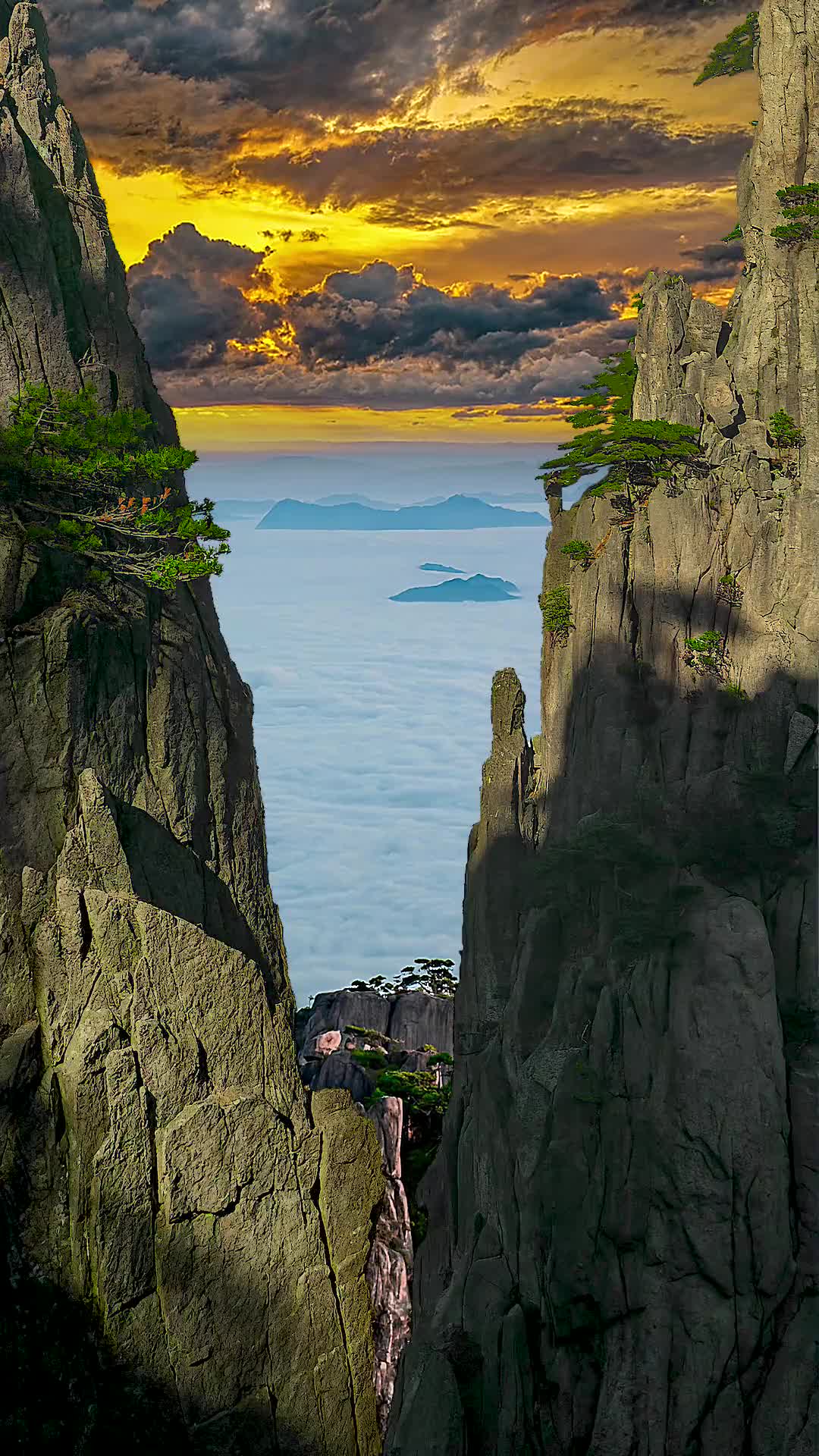 原有一份真挚爱情在你面，你却没有好好珍惜，猴哥躲在这里看风景！紫霞仙子找得好苦