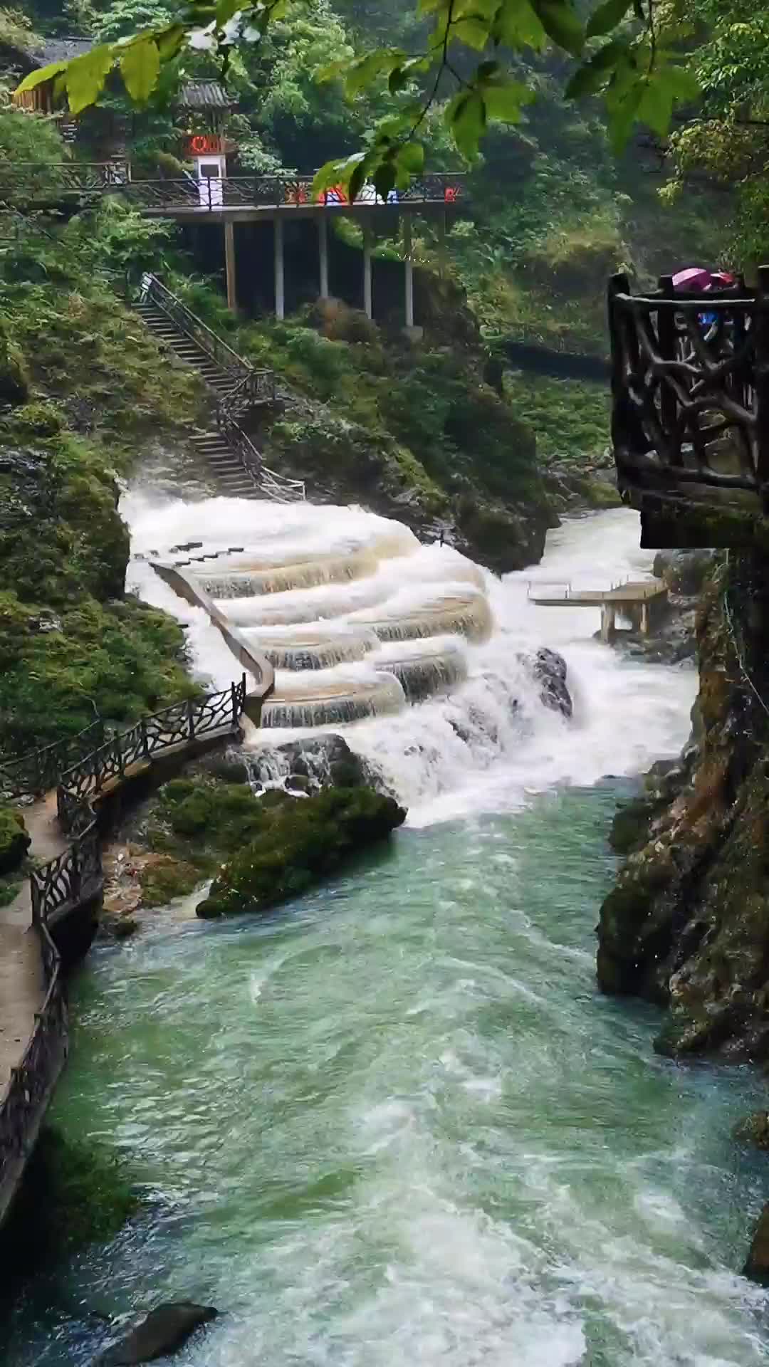 00002 听雨是一种解压，看雨是一种宣泄。如雾般的细雨，洒落在山林，浸润着绵绵的思绪，希望可以治愈