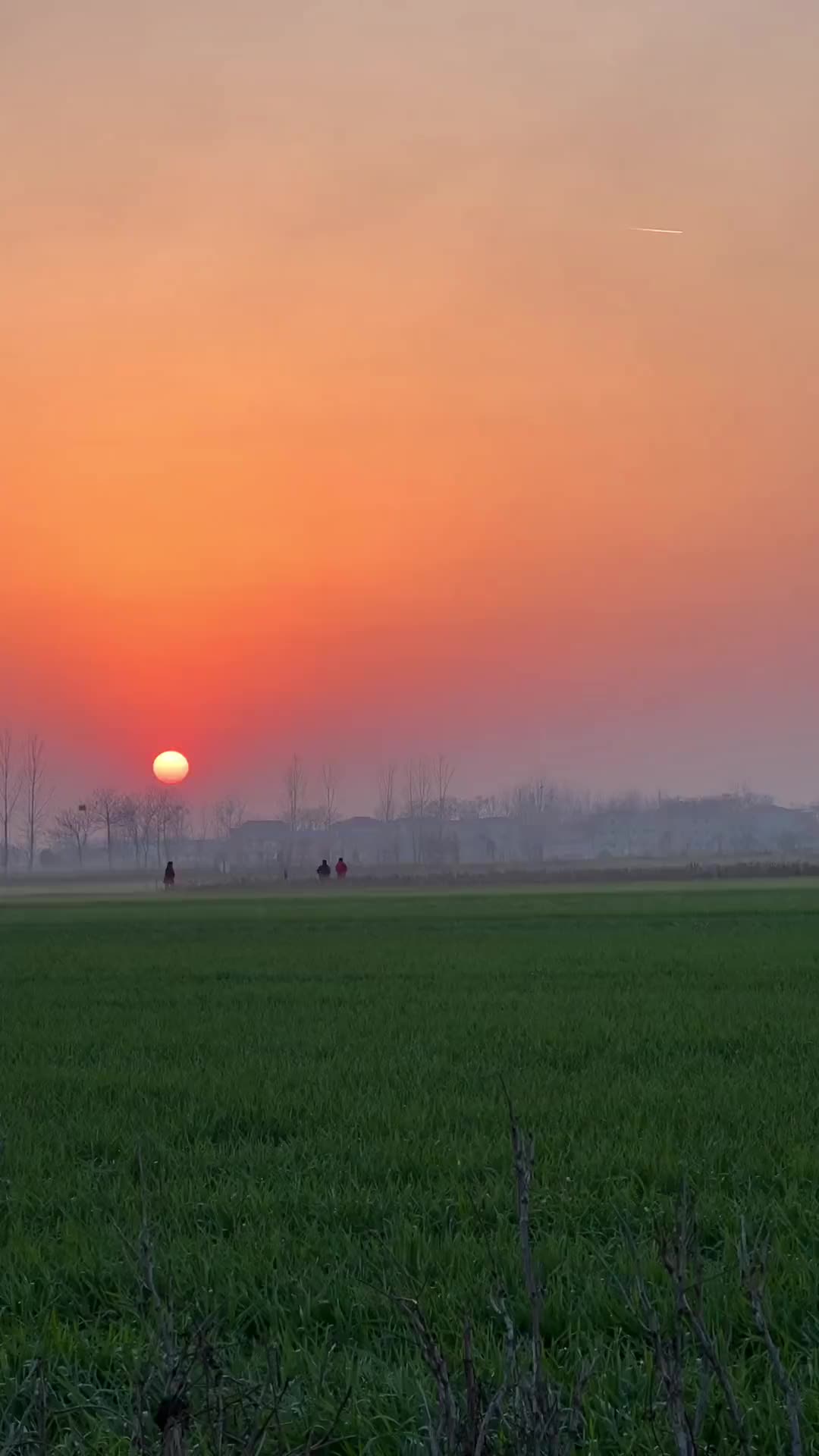 “一生很短，不过晨暮与春秋；一生所求，不过平安与自由”#农村老家