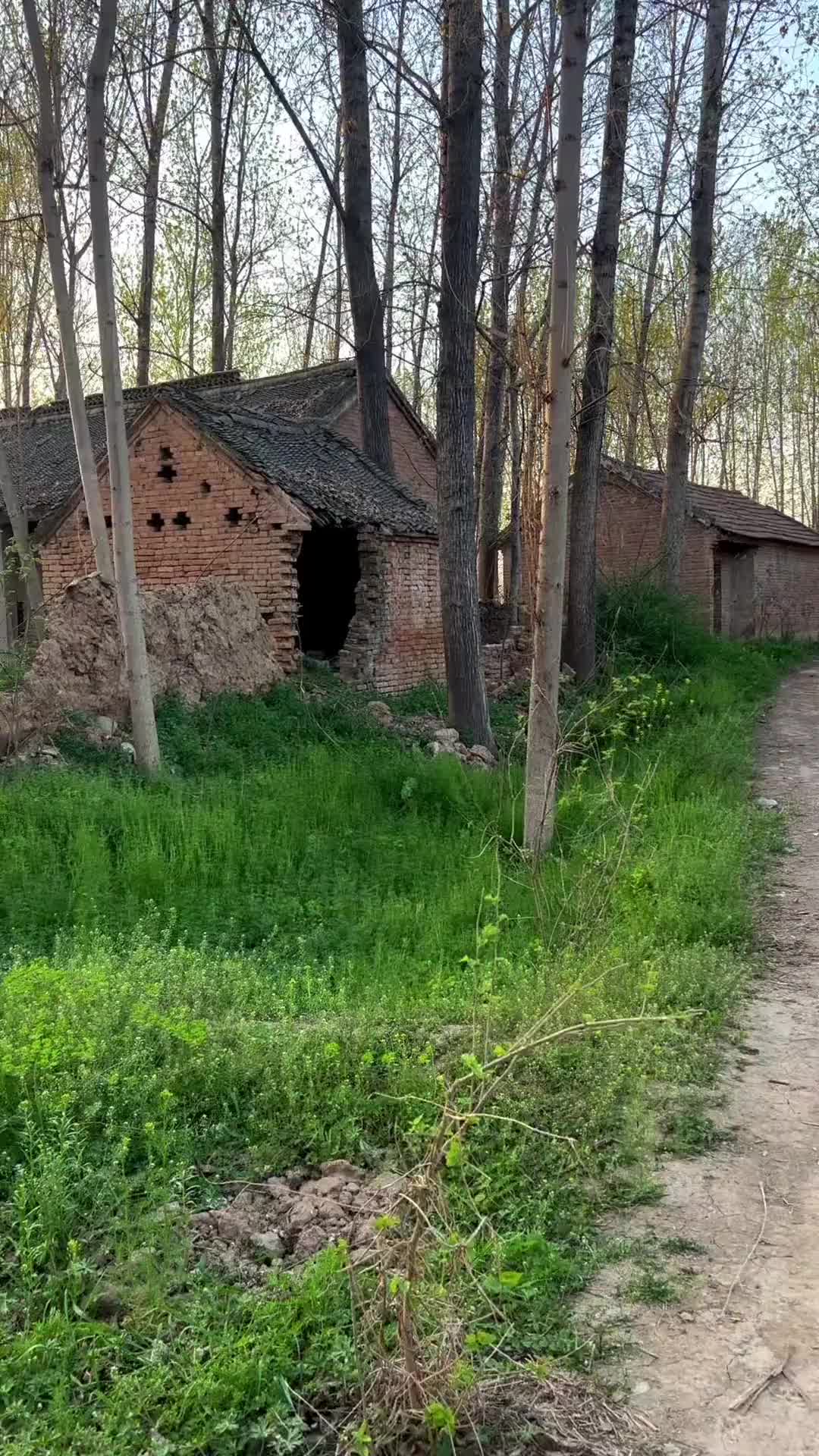 1990年时，每家每户三四个孩子以上，老人健在，父母年轻，这村里热热闹闹像过年