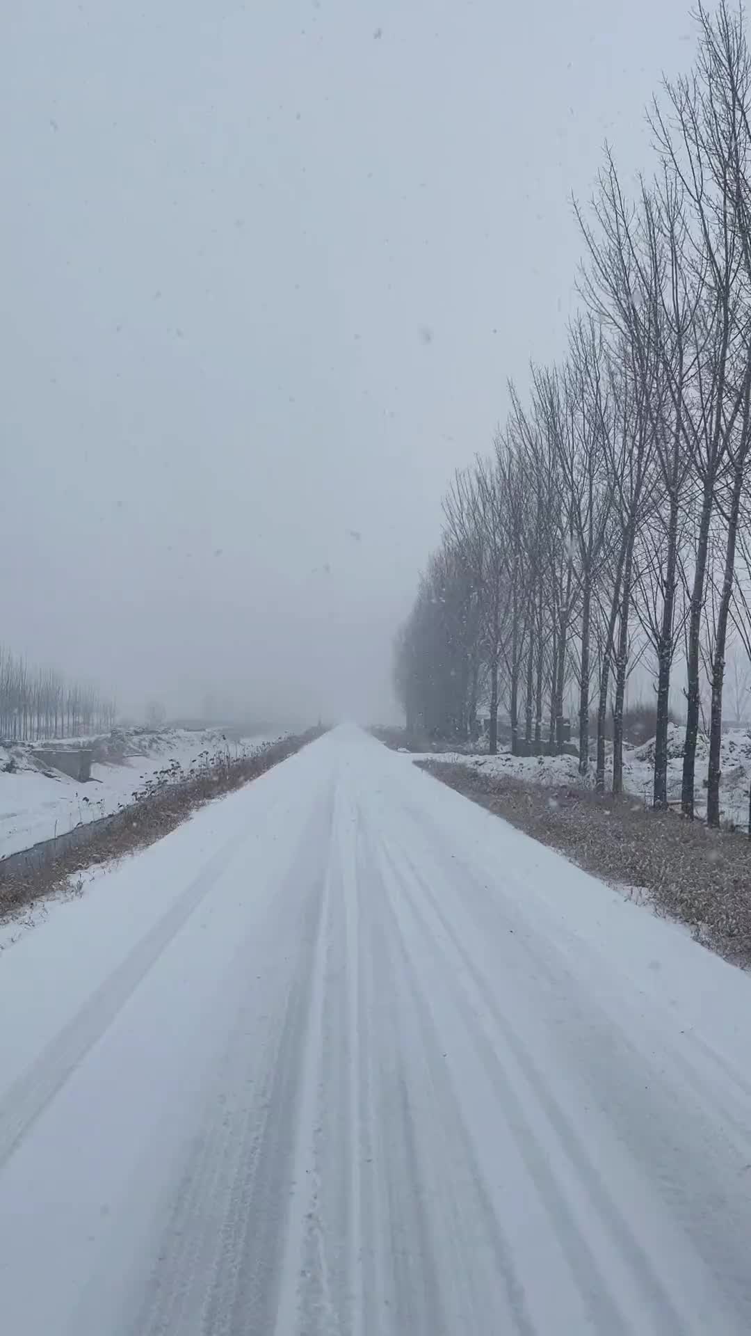 2019年初雪的时候拍的，一个人淋雪在这条路上走了很久，那时候挺开心的，无忧无虑，好像一切都很好！