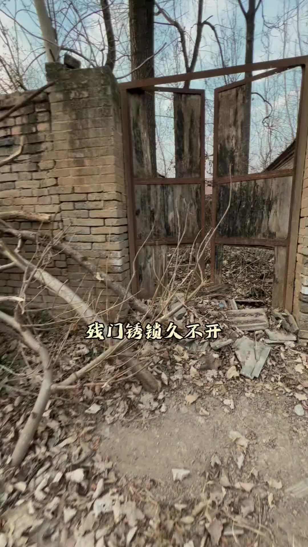 残门锈锁久不开，灰砖小径覆干苔 无名枯草侵满院，一股辛酸入喉来