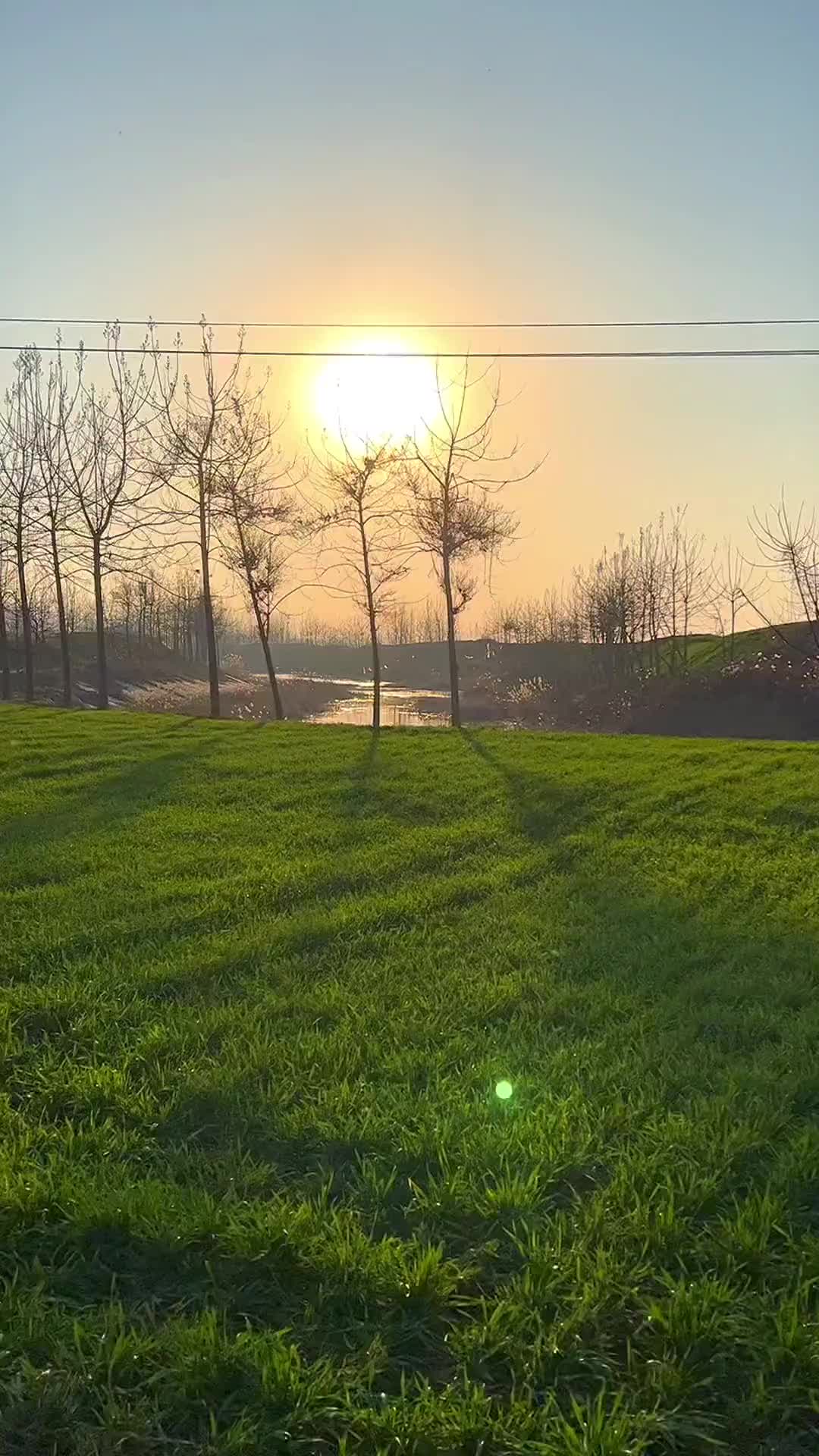 大城市虽然繁华，但我还是更爱我的家乡，不管我走多远，这里始终是我的牵挂，我的老家，生我养我的地方