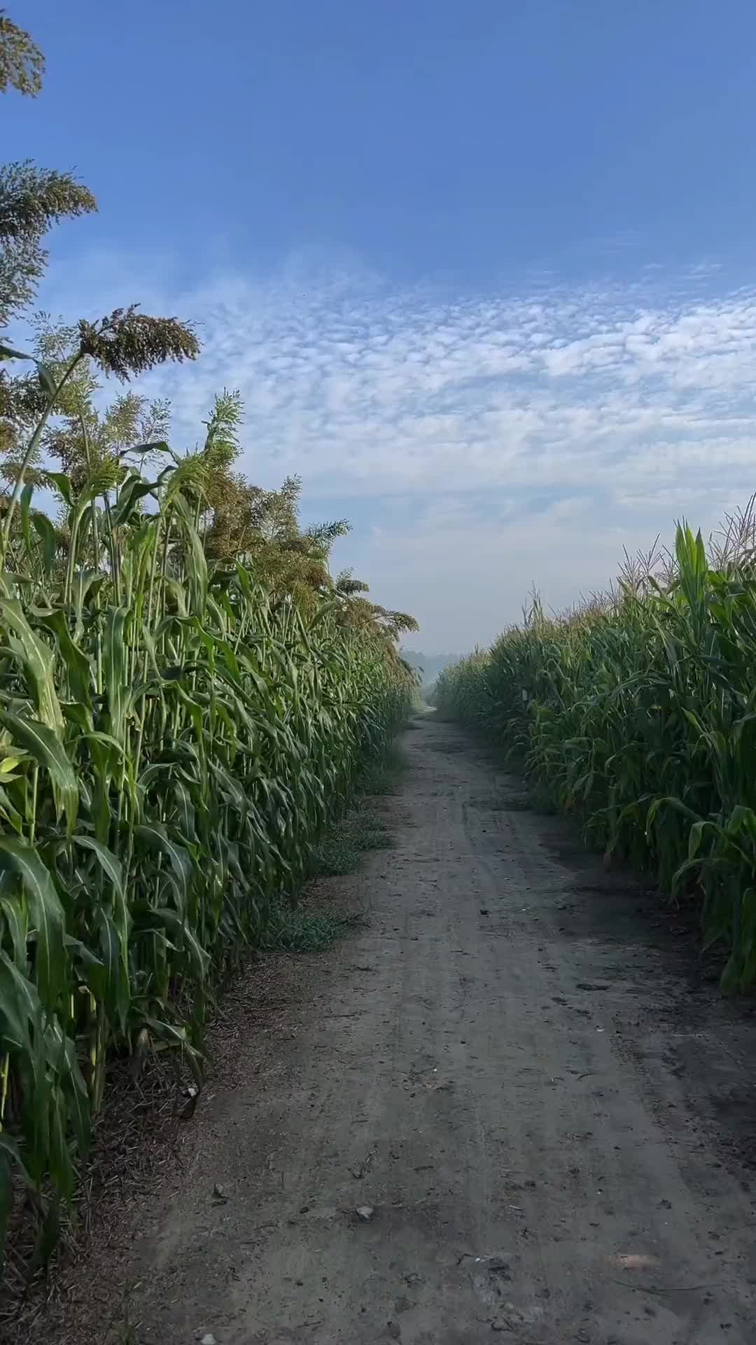 当你心情不好，烦躁不安的时候，就来翻翻我的作品吧，一定会让你慢慢平静下来