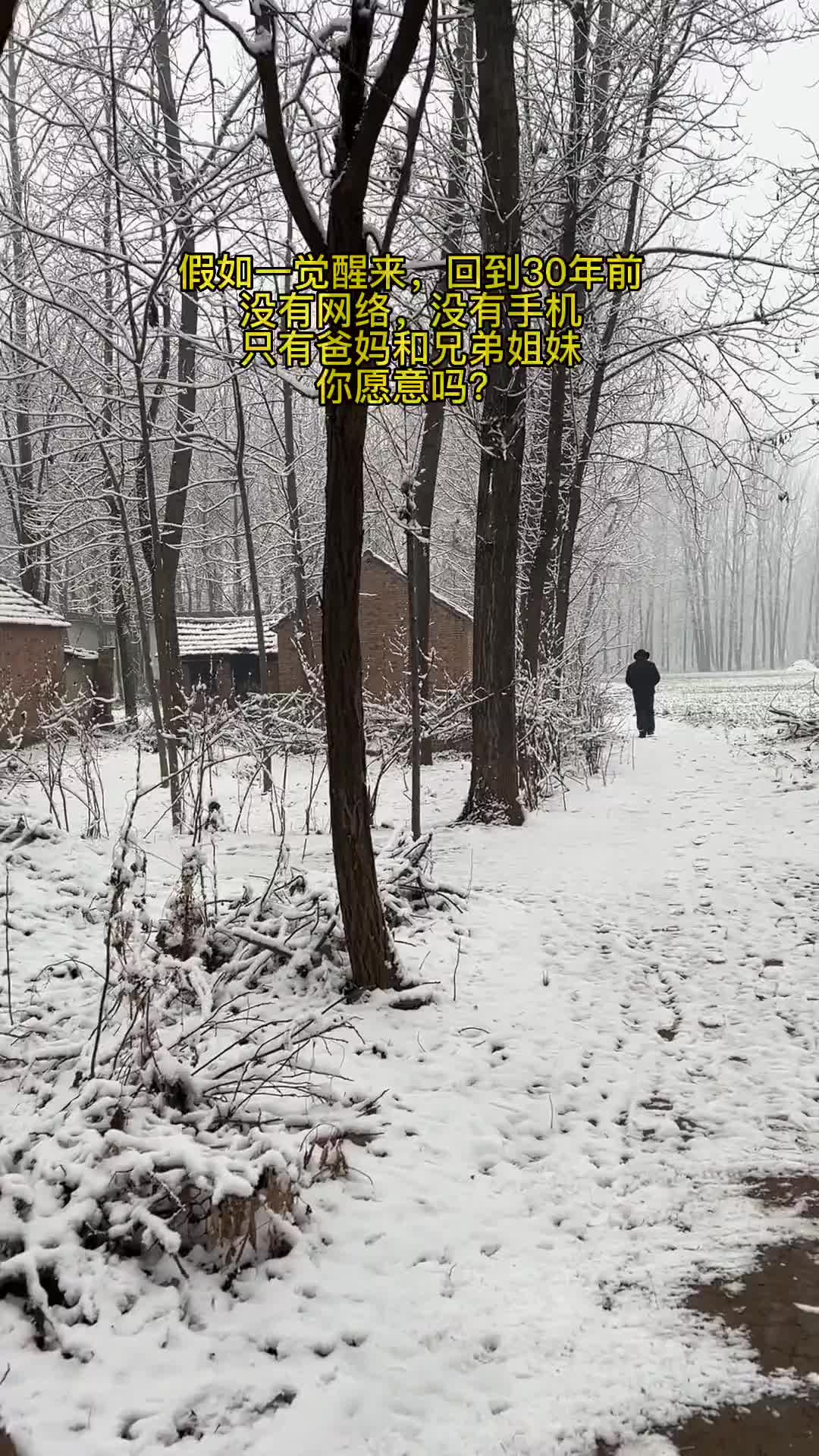 多希望一觉醒来，窗外白雪皑皑，美的像幅画