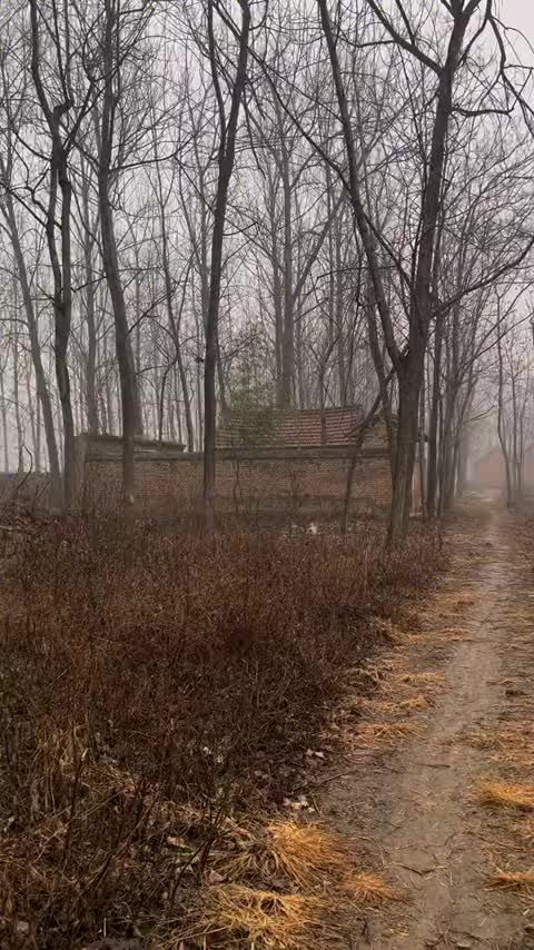 多希望一觉醒来，回到小时候，父亲喊我扫雪，母亲在烧锅做饭，我们还是在雪地里疯跑的孩子