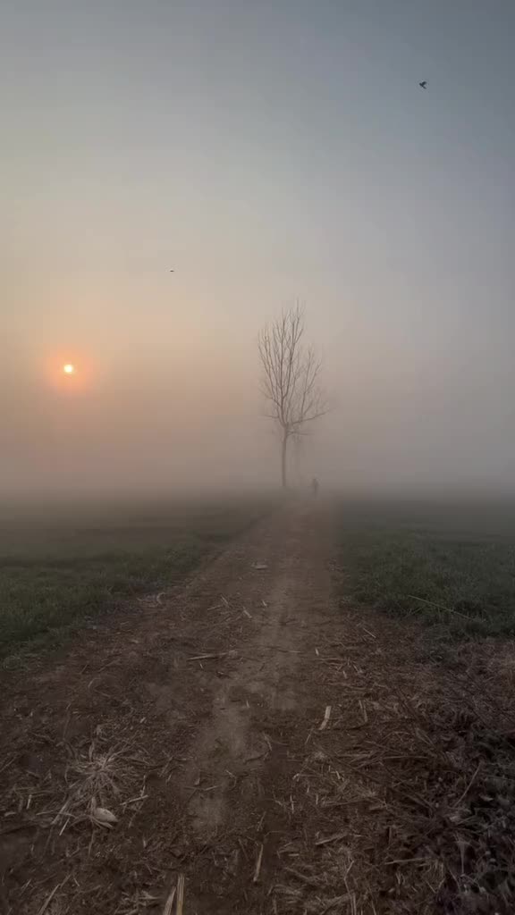 多想一觉醒来，又回到小时候，父母还是年轻时候的模样，而我还是个孩子，一切还是最初的样子