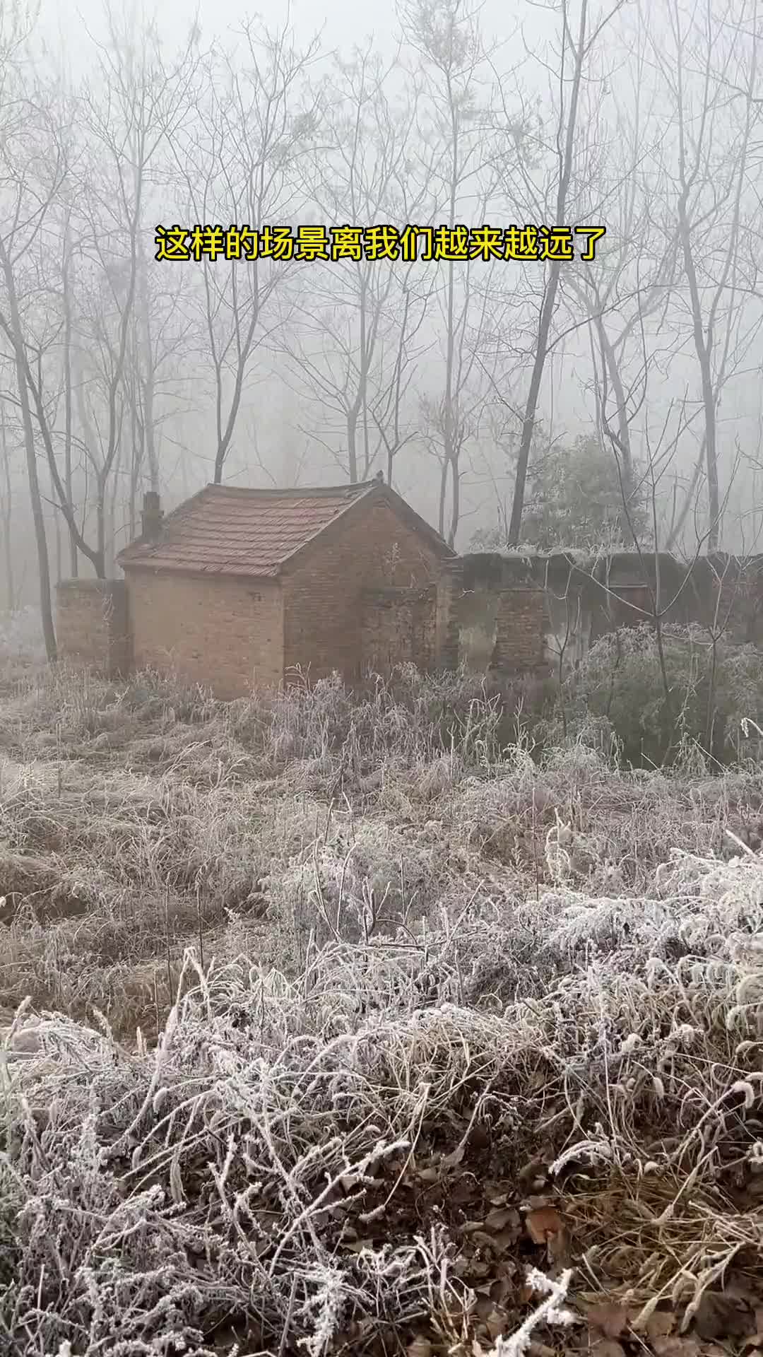 故乡，是年少时想要逃离的地方，是年老时想回可能再也回不去的地方