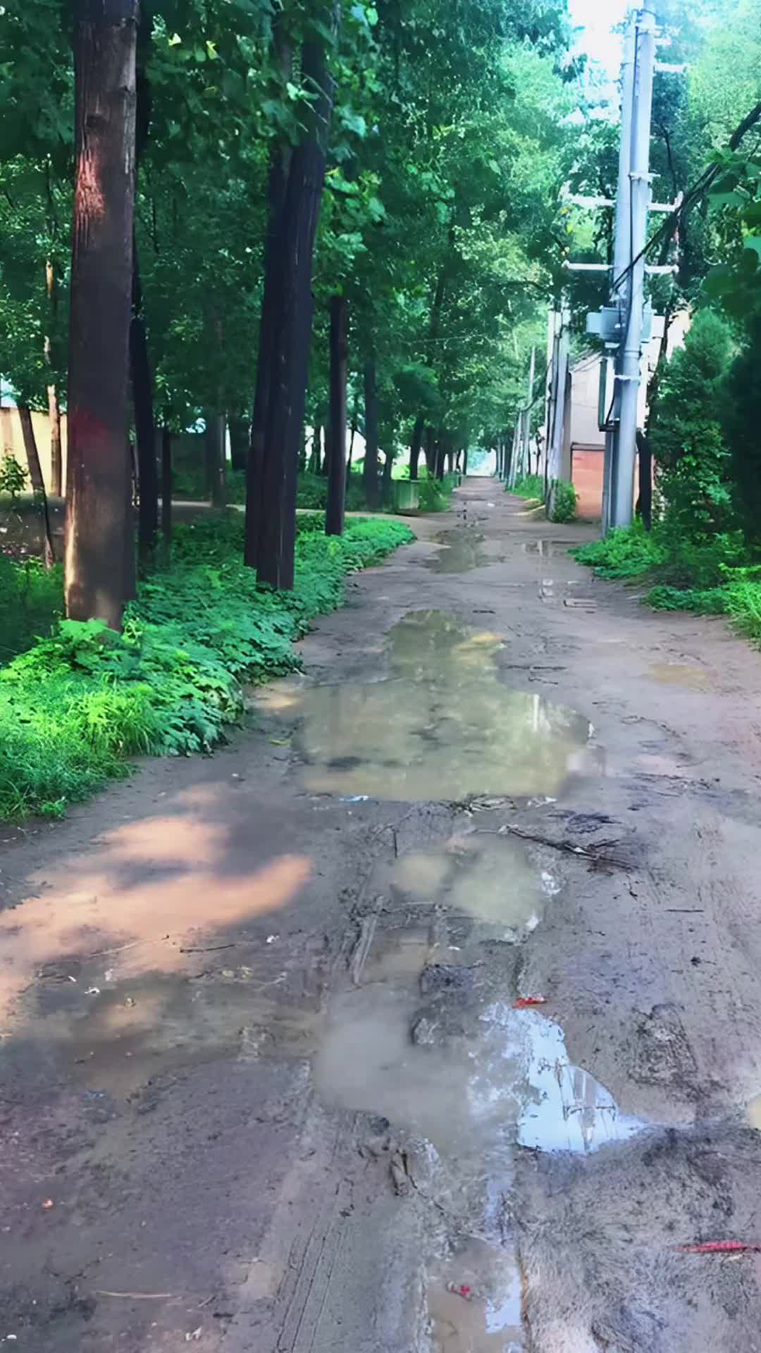 好怀恋小时候雨过天晴的傍晚，吃过晚饭，走在乡间的泥土路上，听着这种声音，感觉整个内心都可以得到升华，