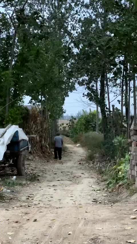 好喜欢这个音乐，让我想到乡村，童年，傍晚和烟火，心里无比温暖，宁静和舒适