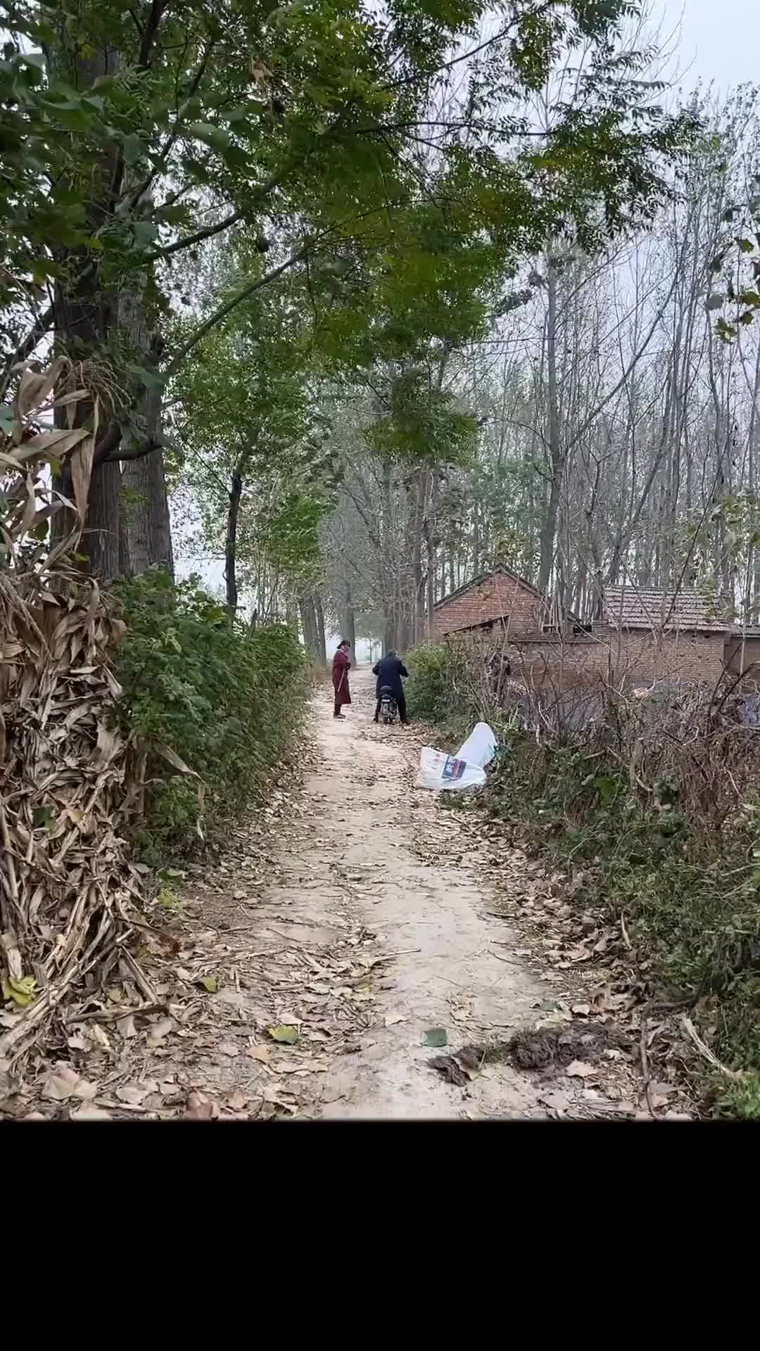 很喜欢这个音乐，想到了童年回忆，虽然不富裕但很快乐的年代