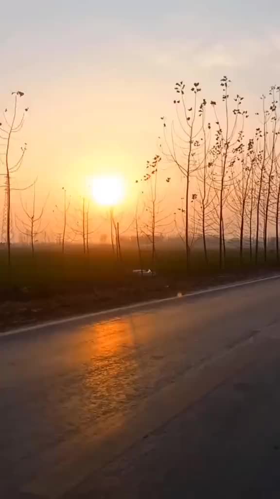 既然去不了诗和远方，那就到村口路上走走，看看落日与夕阳，只要有欢喜心，人生处处皆是风景