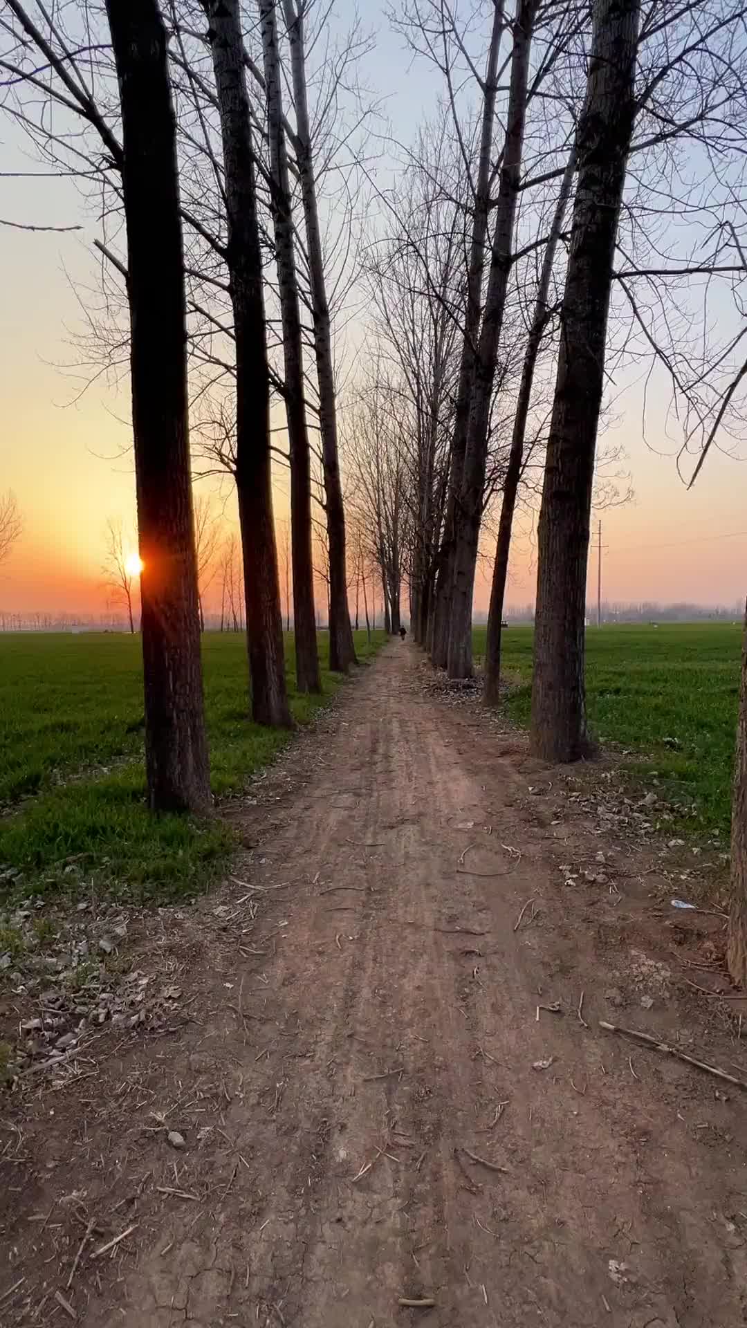 既然去不了诗和远方，那就到村口路上走走，看看落日与夕阳，只要有欢喜心，人生处处皆是风景