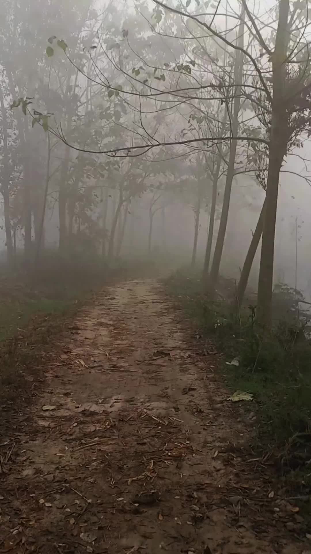 究竟什么样的人，会喜欢这样的氛围 