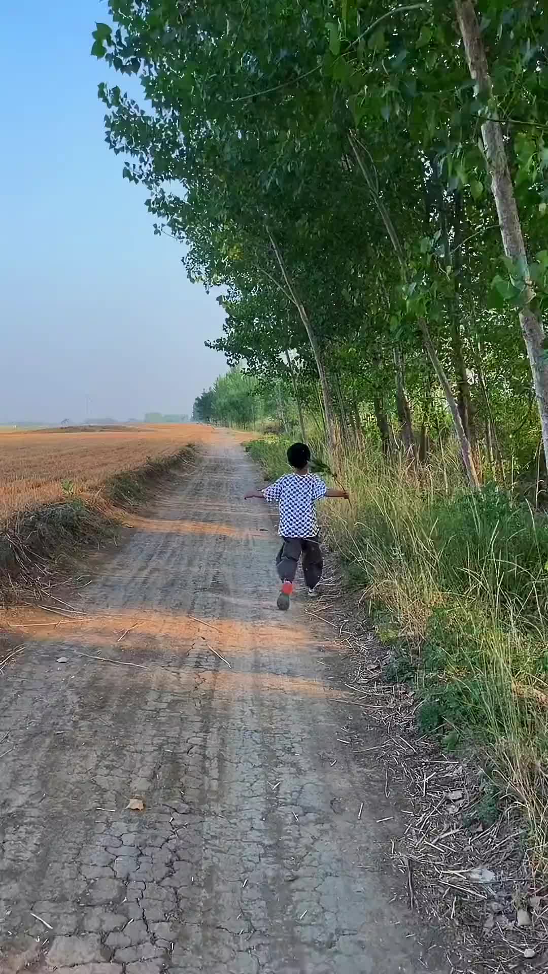 老家是一个很治愈的地方，如果有一天你累了，来乡下走走吧，闻闻泥土青草的芳香，听听虫鸣鸟叫